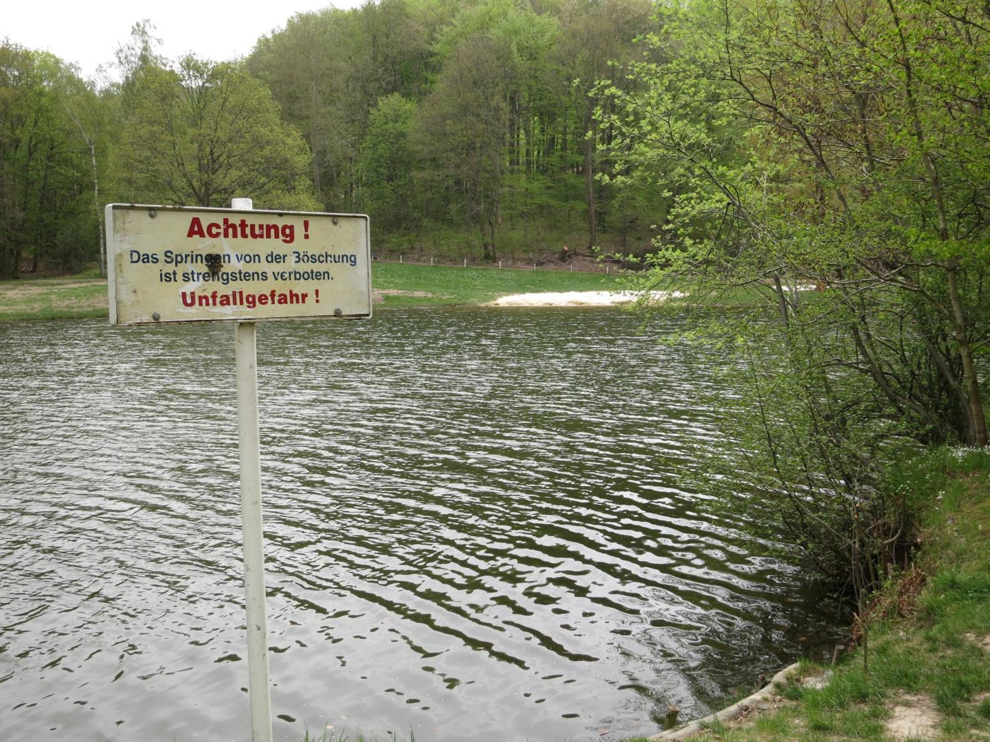 Bungalow Am Osterteich جيرنروده هارتس المظهر الخارجي الصورة